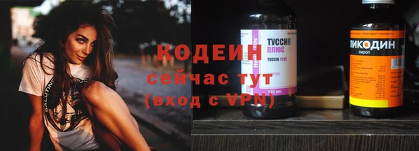 твердый Ладушкин