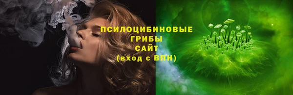 прущие грибы Ахтубинск