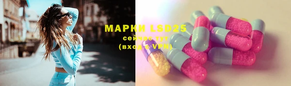 твердый Ладушкин
