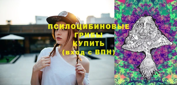 прущие грибы Ахтубинск