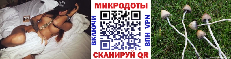 Псилоцибиновые грибы GOLDEN TEACHER купить цена Звенигород