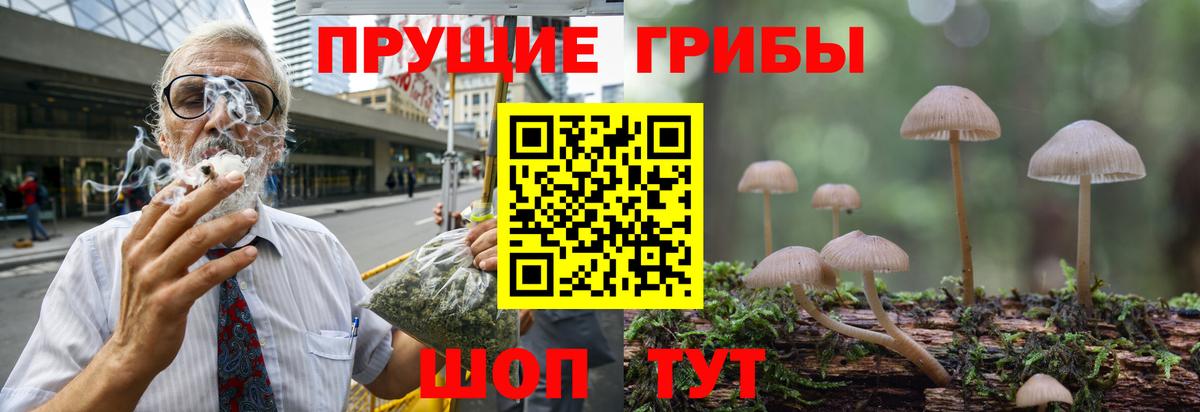 Псилоцибиновые грибы MAGIC MUSHROOMS Звенигород